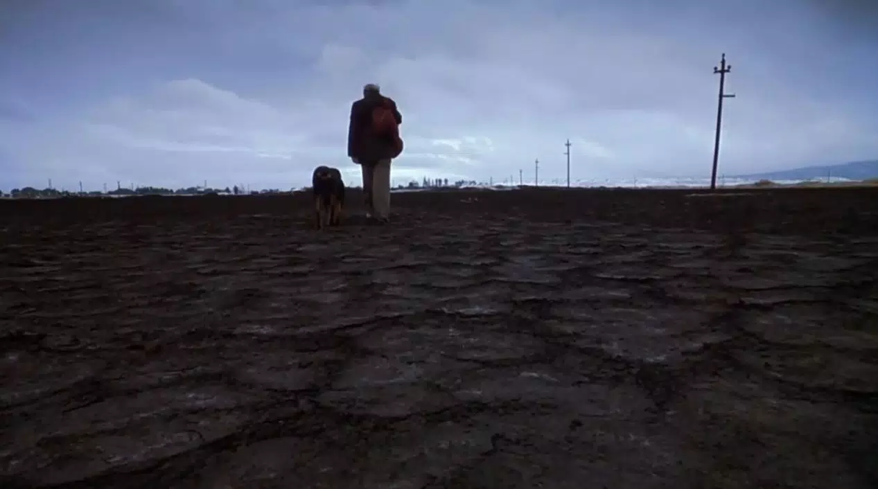 AMORES PERROS (2000) | One Perfect Shot Database