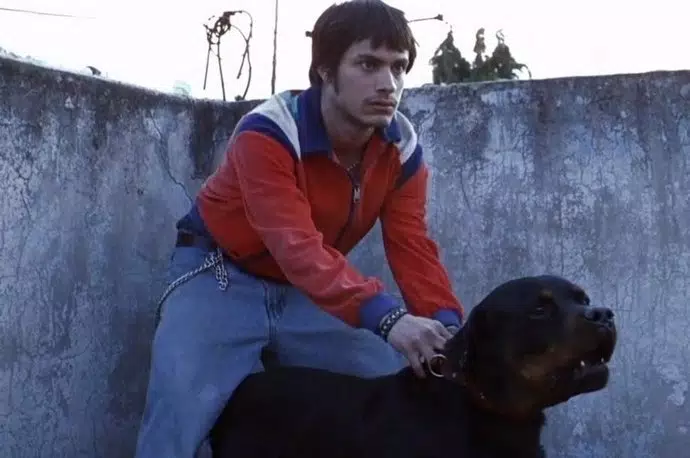 Alejandro González Iñárritu lanzará una versión remasterizada de Amores  Perros en su 20 aniversario