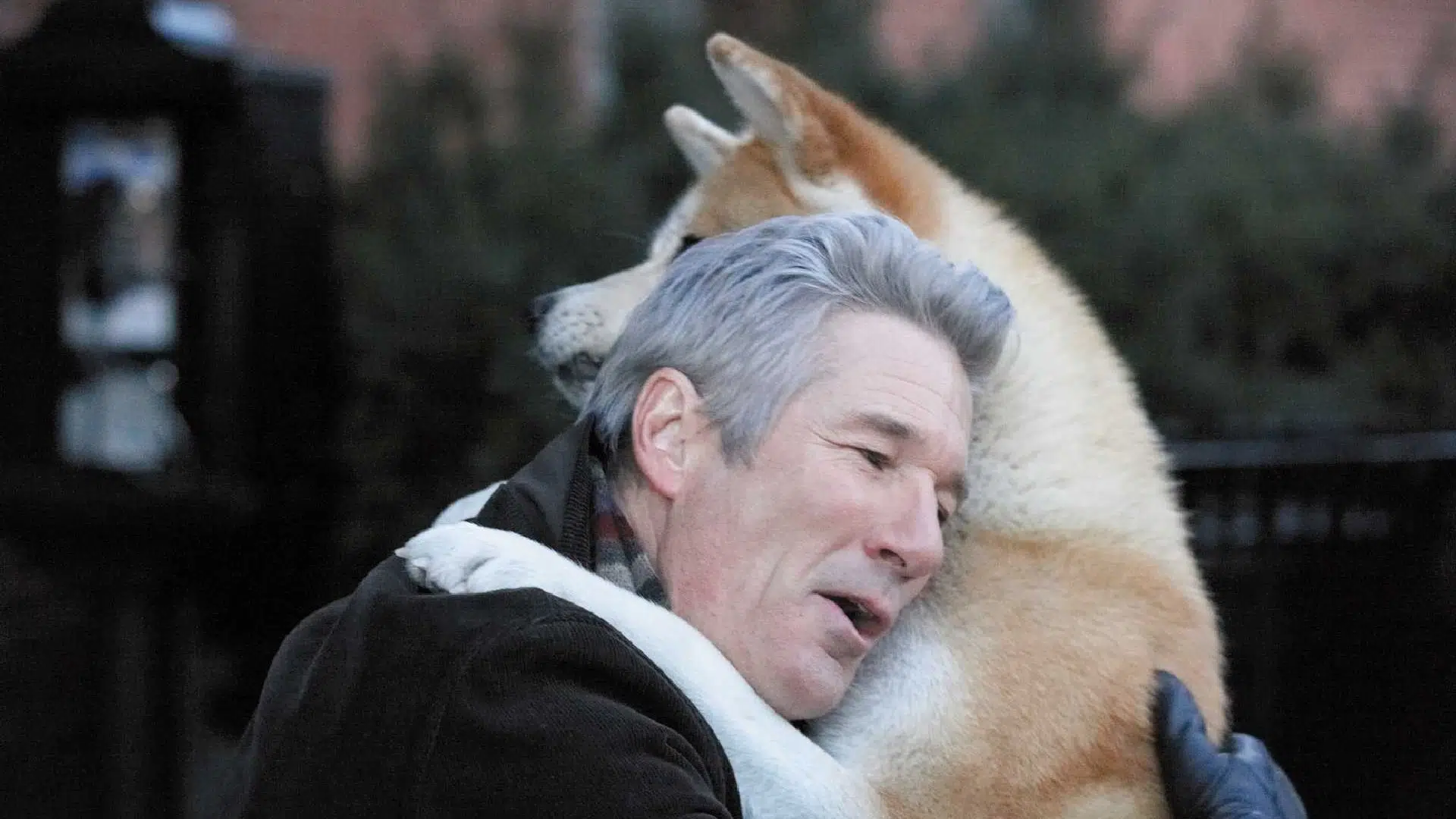 Prime Video: Hachiko: Siempre a su Lado