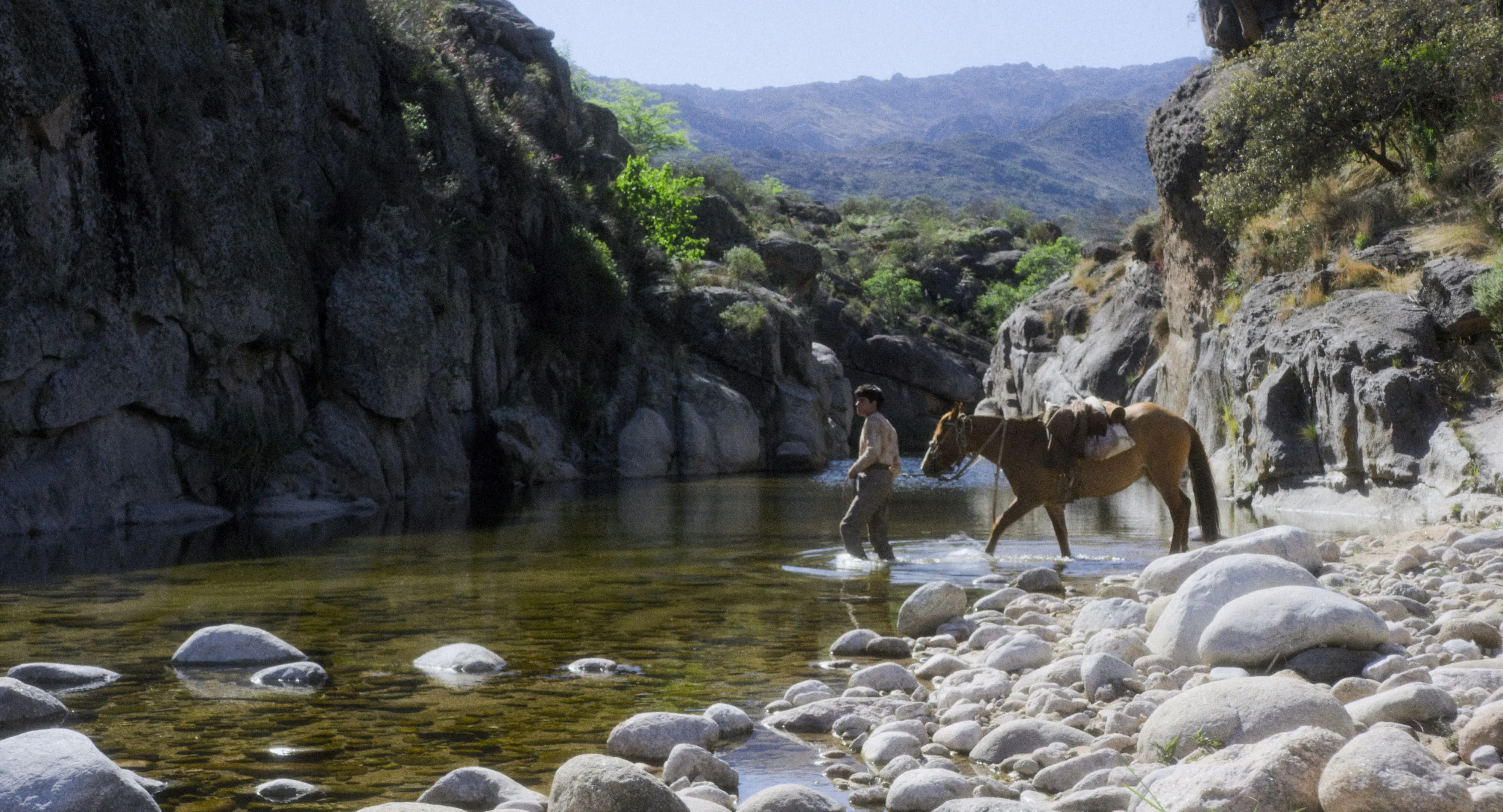 El 1 de agosto se estrena «El escuerzo», de Augusto Sinay: «Es un viaje ominoso desde la inocencia hacia la profundidad de los miedos» | GPS Audiovisual