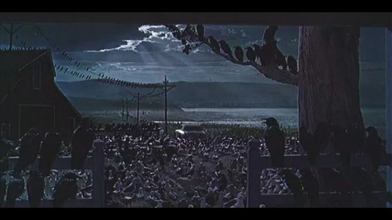 Los pájaros”: Alfred Hitchcock y una lección de ecología - Cine y Literatura