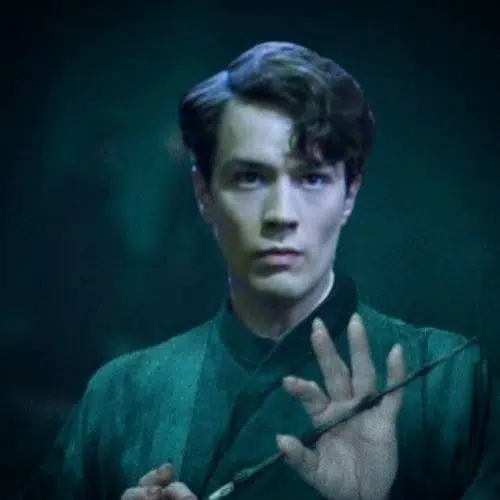 Pin on Harry Potter