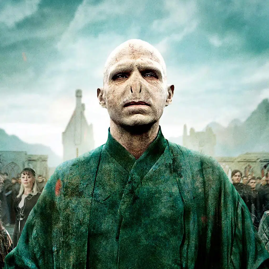 Image - Lord-voldemort-stare-ipad2-1024x1024.jpg | Harry Potter ...