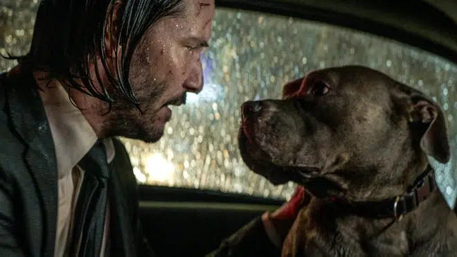 John Wick 3': How the Keanu Reeves franchise turned into a dog movie