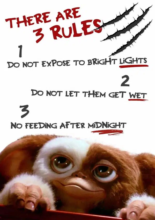 Gremlins - 3 Rules Classic Cult Movie Poster Picture Print - Sizes A5 to A0