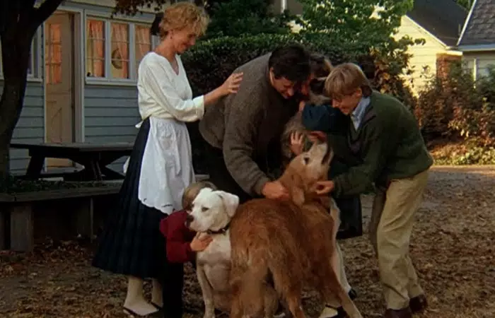 Películas sobre la amistad para ver en familia
