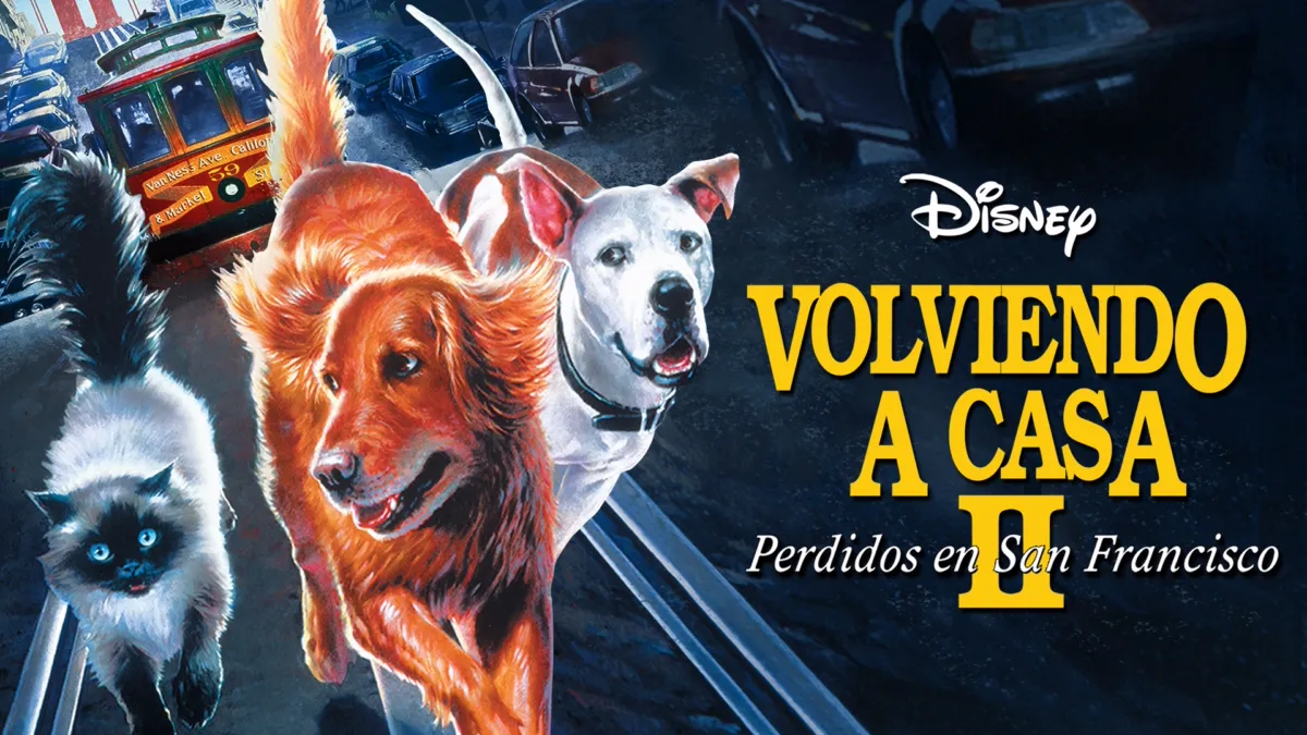 Ver Volviendo a casa 2: Perdidos en San Francisco | Disney+