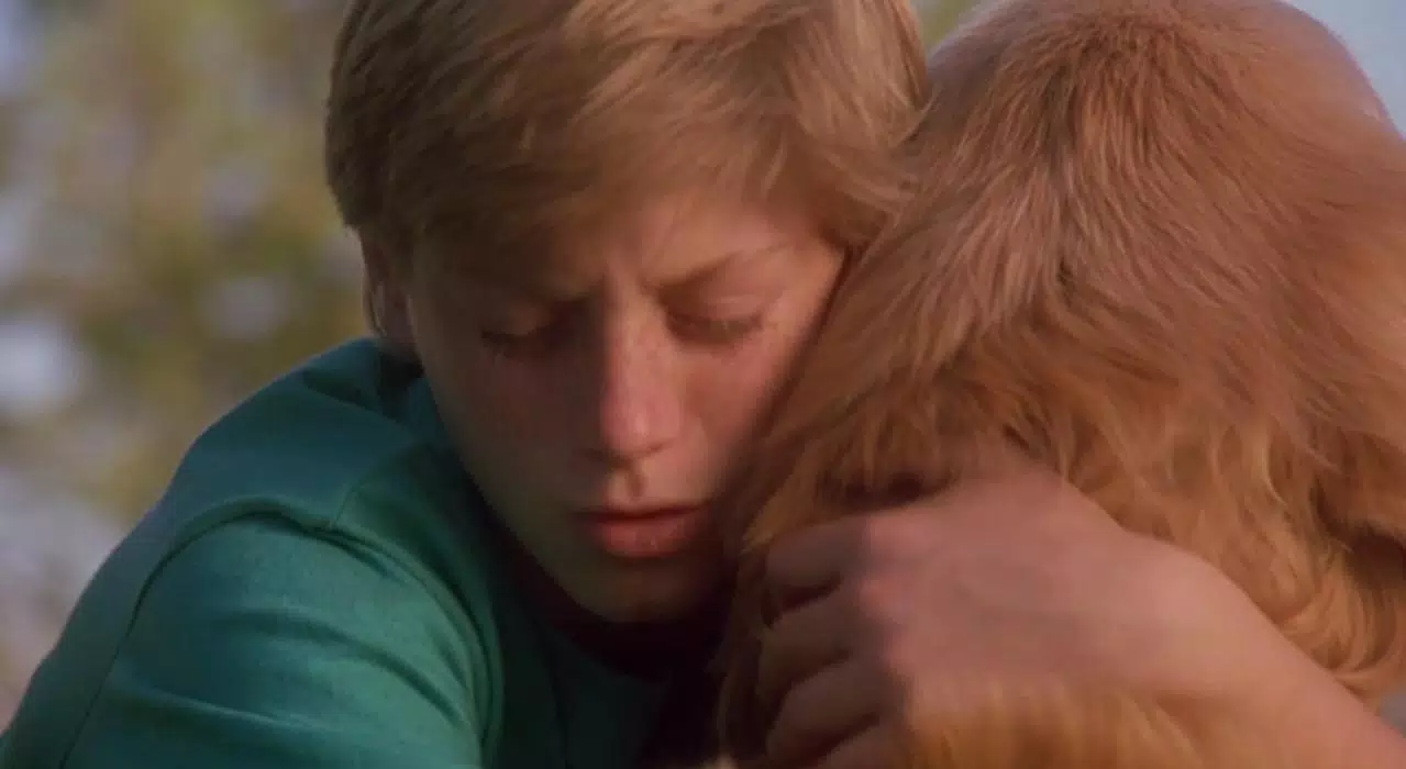 Picture of Benj Thall in Homeward Bound: The Incredible Journey -  benj-thall-1409940946.jpg | Teen Idols 4 You