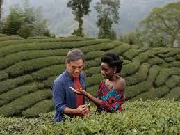 Review | Berlin 2024: Black Tea movie review – first film about the African  diaspora in China directed by an African is a massive disappointment |  South China Morning Post