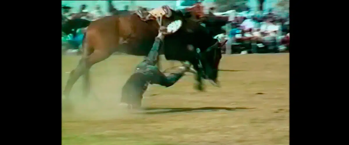 Una persona con un caballo

Descripción generada automáticamente con confianza media