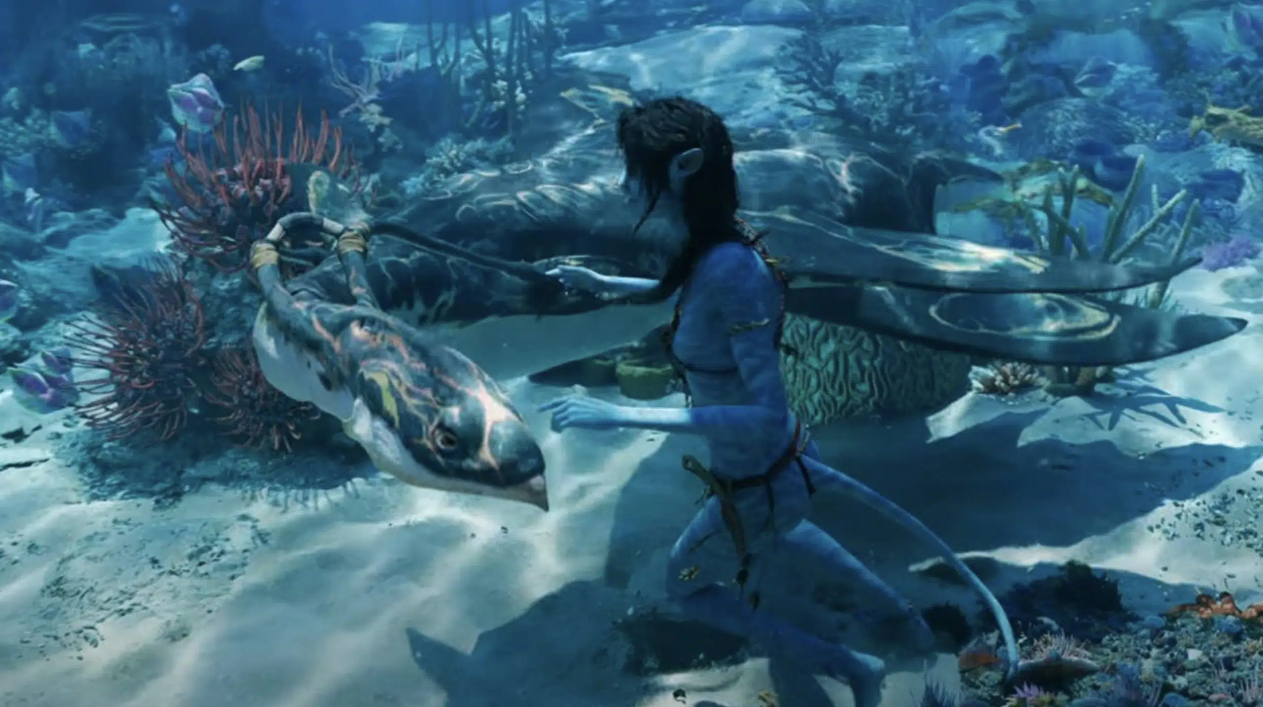 Algunos cines son incapaces de proyectar dos escenas de 'Avatar 2: el  sentido del agua'