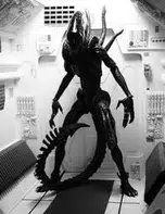 ALIEN, el octavo pasajero [1979] | | ANHELARIUM |