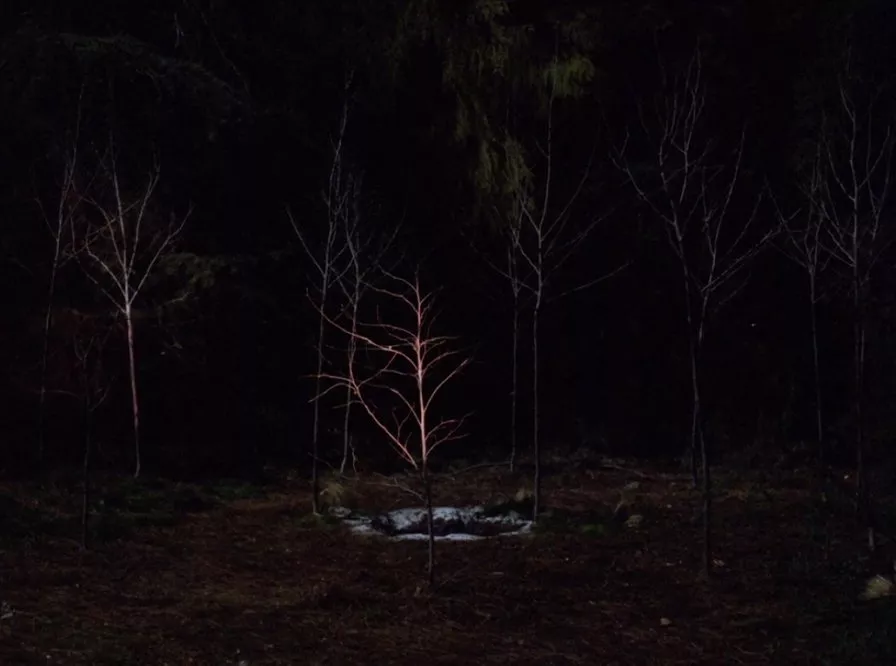 Black Lodge Meditations | Article | Tiny Mix Tapes