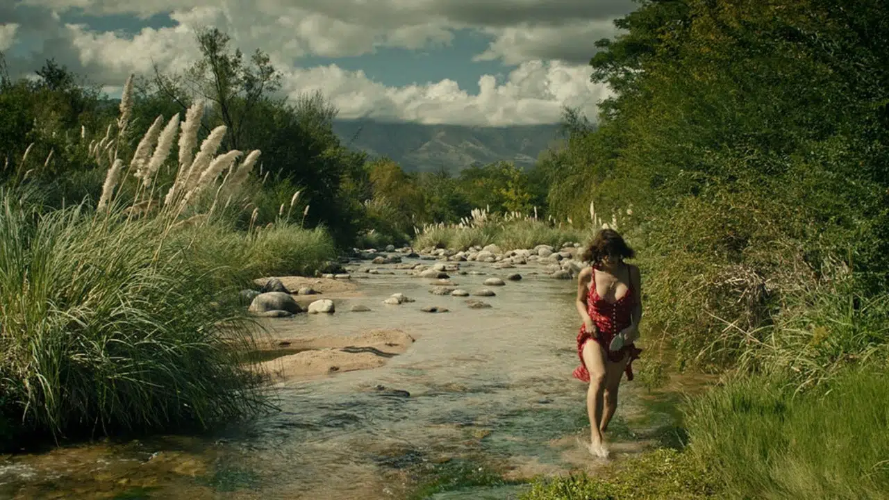 Thesis on a Domestication (2024) | MUBI