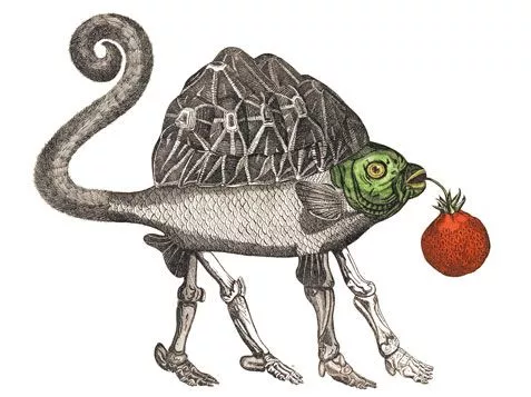 Jan Svankmajer, the art of Collage – Keller's Blog Site