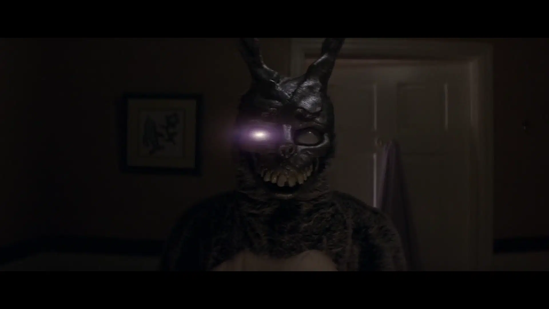 Donnie Darko - el club del cine