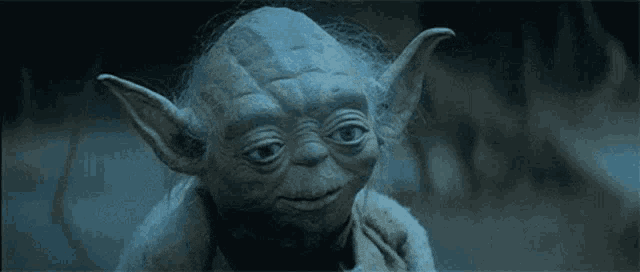 Resultado de imagen de gift imagen yoda