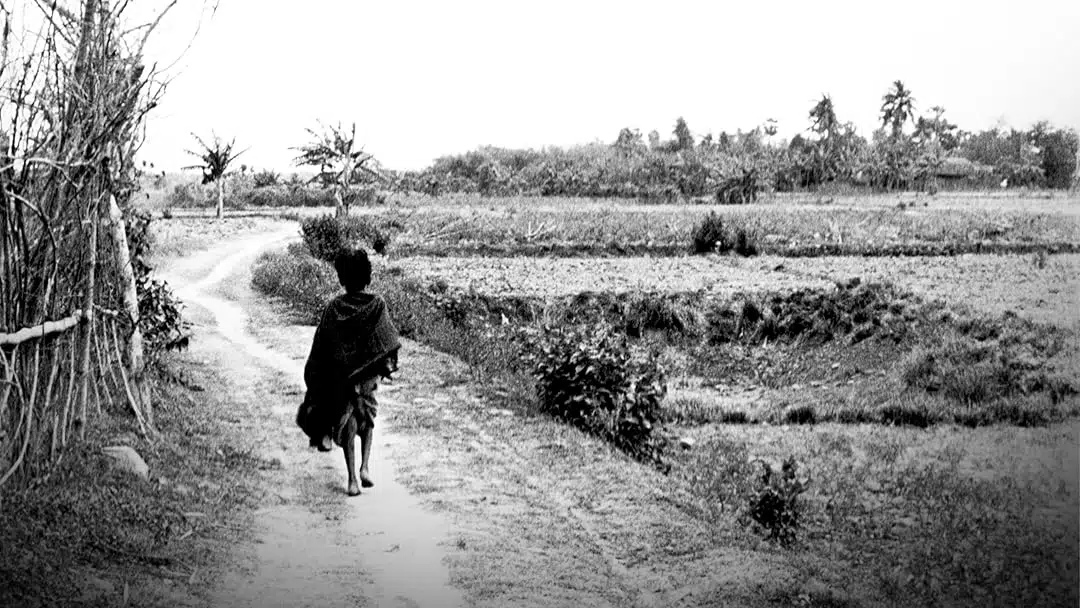Prime Video: Pather Panchali