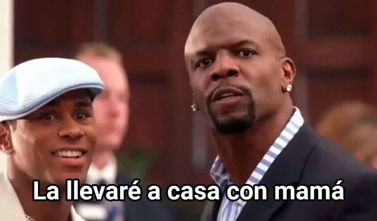 Imagen 5