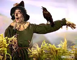 160 ideas de El Mago De Oz | mago de oz, mago, ciudad esmeralda