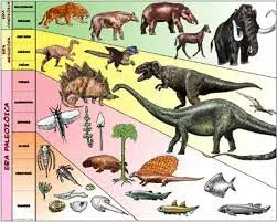 Revista Digital Nº 6 del C. E. Ponce de León - ¿Descienden de los  dinosaurios los cocodrilos y los elefantes?