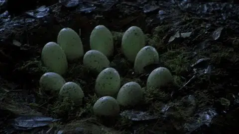 @JurassicWorld's video Tweet