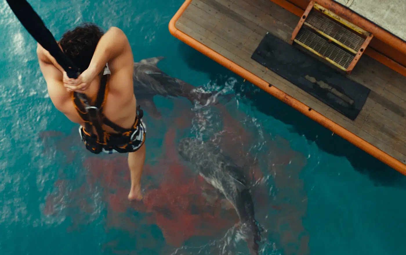 Film Review – Dangerous Animals (2025) – Films – OutNow