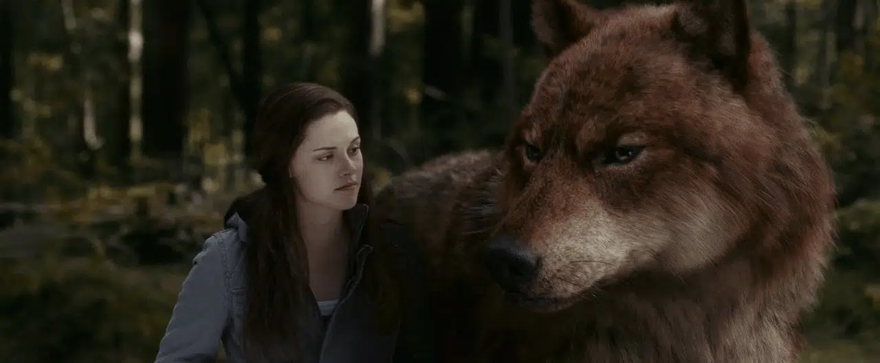 Remembering Jacob Black's Best & Worst Moments – Vampires