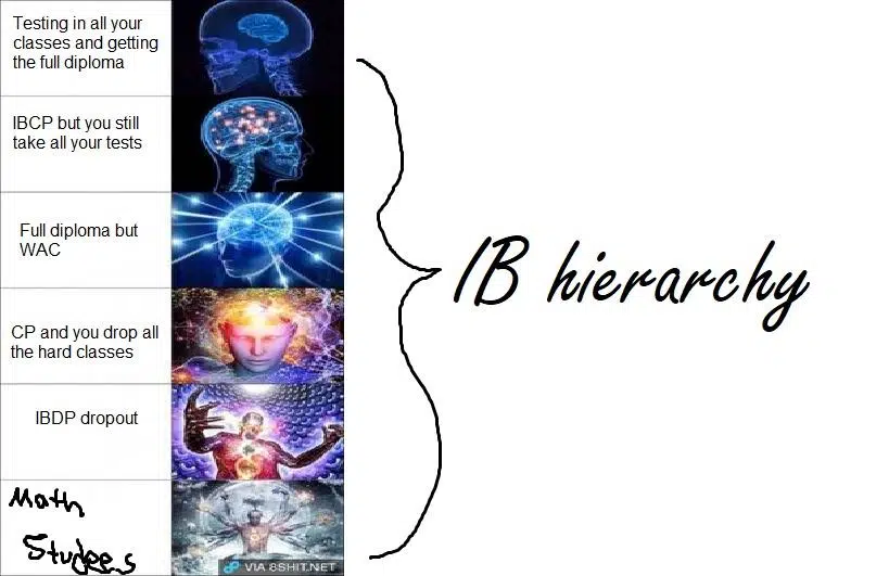 The IB hierarchy : r/IBO