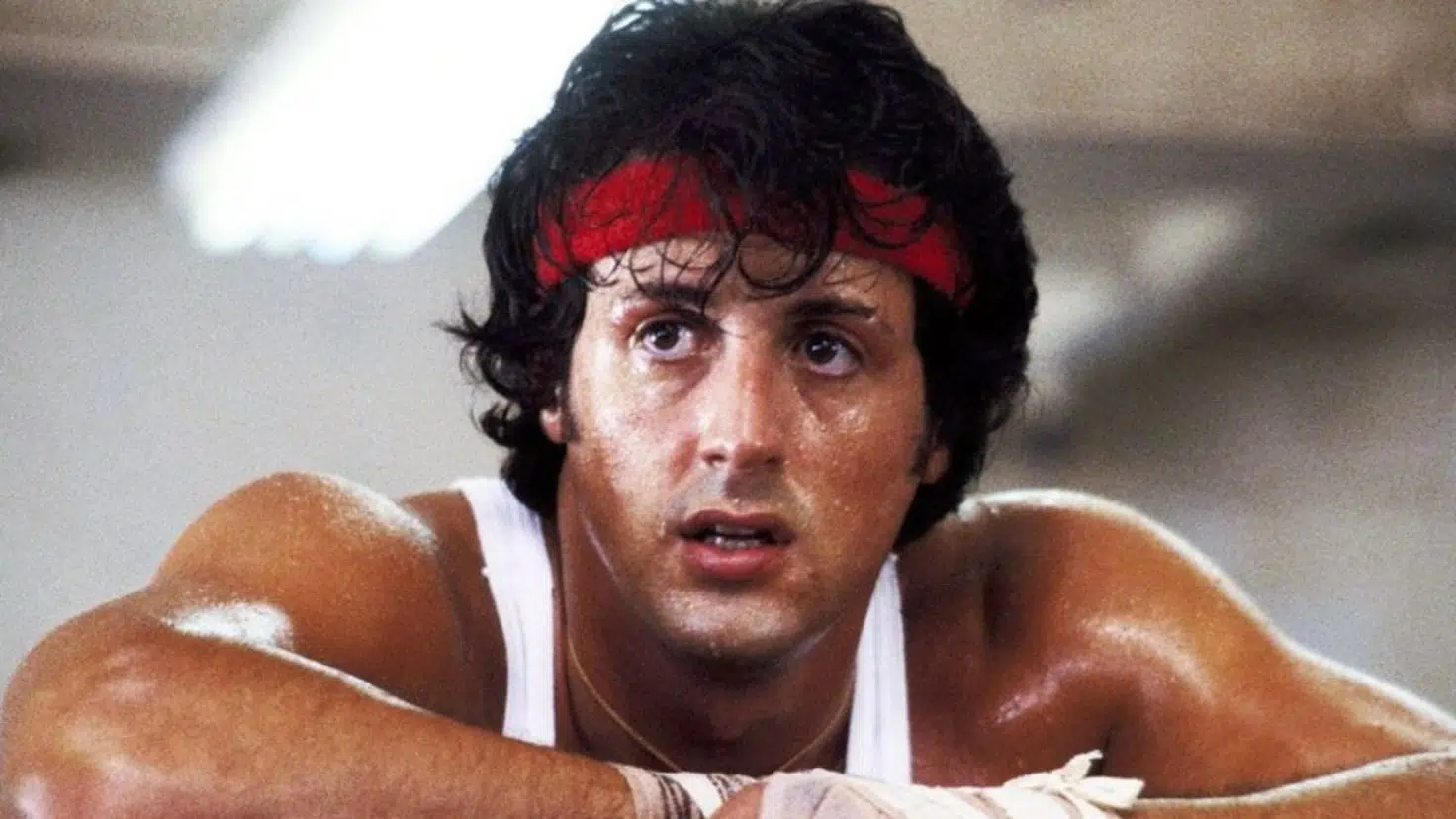Todas las películas de Rocky y Creed ordenadas de peor a mejor según IMDb -  Meristation