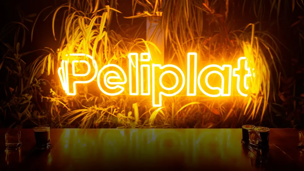 Peliplat Press Launch_peliplat
