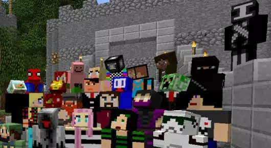 The Minecraft Community
