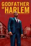 Godfather of Harlem_peliplat