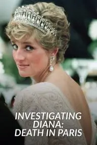 The Diana Investigations_peliplat
