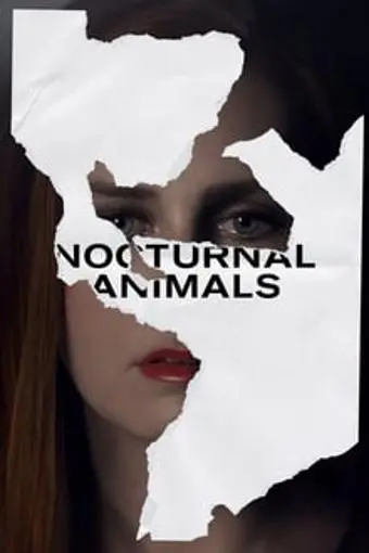 Nocturnal Animals_peliplat