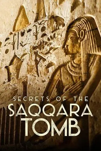 Secrets of the Saqqara Tomb_peliplat