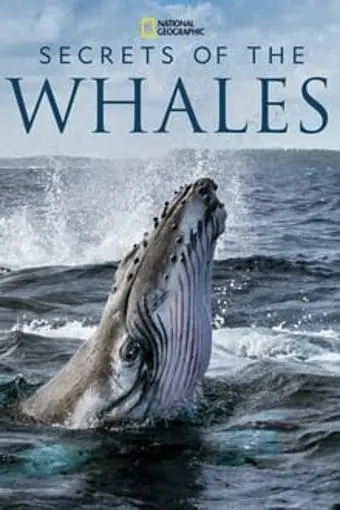 Secrets of the Whales_peliplat