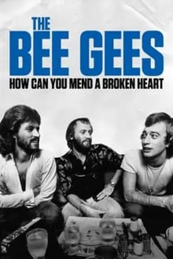 The Bee Gees: How Can You Mend a Broken Heart_peliplat