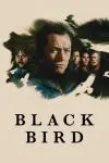 Black Bird_peliplat