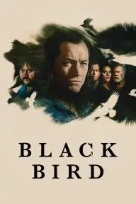 Black Bird_peliplat
