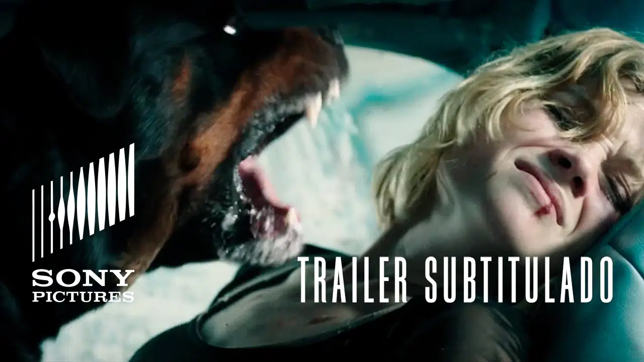 NO RESPIRES (Don't Breathe) | Trailer Subtitulado