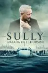 Sully: Hazaña en el Hudson_peliplat