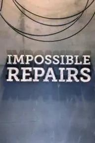 Impossible Repairs_peliplat