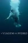 Pedro, Between the Devil and the Deep Blue Sea_peliplat