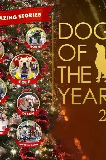 Dogs of the Year 2022_peliplat