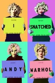 I Snatched Andy Warhol_peliplat