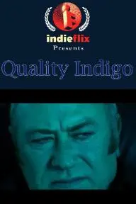 Quality Indigo_peliplat