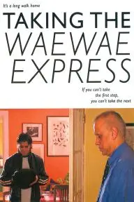 Taking the Waewae Express_peliplat