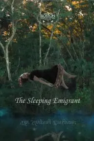 The Sleeping Emigrant_peliplat