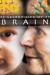 The Secret Life of the Brain_peliplat